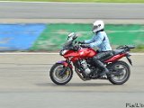 DSC_3376.jpg