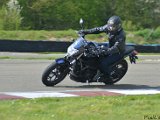 DSC_4428.jpg