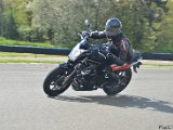 DSC_4447.jpg