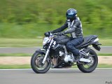 DSC_4932.jpg