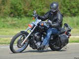 DSC_4375.jpg