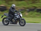 DSC_2568.jpg