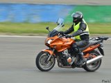 DSC_2733.jpg