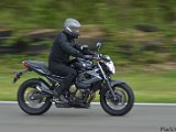 DSC_2772.jpg