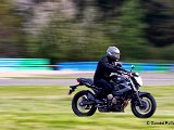 DSC00488.JPG