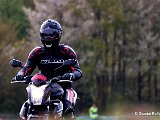DSC00713-001.JPG