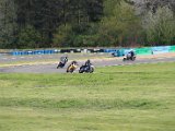 IMG_0310.JPG