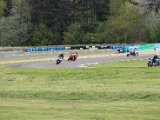 IMG_0313.JPG