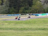IMG_0315.JPG